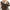 Zachte oversized teddy damesjas voor winter – Sophie