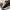 Zachte oversized teddy damesjas voor winter – Sophie