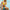 Halter Bikini met Strass Steentjes voor Luxe Strandlook – Liravelle