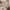 Op Maat Gemaakte Hoge Taille Heren Harem Broek – Raphael