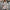 Zachte oversized teddy damesjas voor winter – Sophie