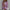 Gebreide Pullover met Halfhoge Hals – Elise