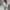 Patchwork Sweater met Capuchon en Kleurrijk Design – Emma