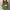 Lichte Turtleneck Pullover met Elegante Pasvorm – Sophie