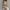 Gebreide Pullover met Halfhoge Hals – Elise