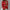 Gebreide Pullover met Halfhoge Hals – Elise