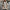 Zachte oversized teddy damesjas voor winter – Sophie