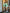 Getailleerde blouse met stretch en ruches – Noralie