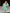 Getailleerde blouse met stretch en ruches – Noralie