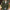 Gebreid heren vest voor herfst en winter – Thomas
