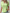 Elegante top met pofmouwen en kanten details – Sophie