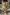 Dames set met print en oversized zomerse pasvorm – Fiorella