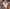 Push-Up Badpak Kantdetails Open Rug Design – Selenya