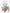 Zwemkleding dames push-up gekruiste bandjes cover-up – Liora