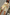 Dames set met print en oversized zomerse pasvorm – Fiorella