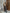 Dames retro suède trenchcoat met elegante pasvorm – Isabelle