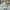 Gestreepte pullover trui voor dames – Marit