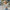 Gestreepte pullover trui voor dames – Marit