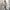 Dames winterjas suède look fleece warm en stijlvol – Arvaya