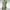 Elegante Damesjurk Lichtgewicht Tijdloos Comfort Design – Selvira