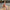 Zwemkleding dames roze vetersluiting met cover-up set – Danira