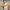 Zwemkleding dames hoge taille bloemenprint strikdetail – Romina