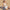 Trendy Bloemenprint Zwemkleding met Hoge Taille en Strikdetail – Solviera