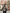 Trendy kort winterjack met sportieve details – Naya