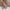 Dames hoge cowboylaarzen met rits – Sophia