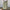 Maxi Rok Bloemenprint Linnen Dames Comfort – Velayna