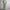 Bloemenprint Jurk met Getailleerd Silhouet en Comfort – Elina