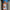 Zomerset met Bandeau Top en Rok – Print Tube
