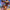 Trendy Boho Bikini Set met Gekruiste Bandjes en Vintage Geprinte Patronen – Solviera