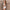 Zomerset met Bandeau Top en Rok – Print Tube