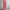 Bloemenprint Jurk met Getailleerd Silhouet en Comfort – Elina