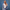 Set met Delfts Blauwe Print – Delft Elegance