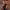 Maxi jurk met bloemenprint en retro pasvorm – Yara