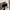 Glanzende PU schoudertas met golvend design – Avelora