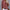 Elegante Voorjaarsblouse met Moderne Details – Livia