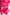 Zomerse dames set met roze print en comfort – Fianna