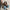 Cropped pufferjack dames met hoge kraag – Elena