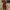 Flowy Midi Jurk met Bloemenprint voor Dames – Els