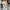 Trendy gevoerd dames bomberjack – Sophie