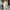 Trendy gevoerd dames bomberjack – Sophie