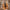 Comfortabele zomer sandalen met boho details - Levoria