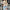 Trendy gevoerd dames bomberjack – Sophie
