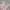 Strapless mini jurk met print – Prism Enchant
