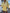 Herfst dames set met lange mouwen en shorts – Maelie