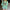 Getailleerde blouse met stretch en ruches – Noralie