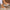 Comfortabele zomer sandalen met boho details - Levoria